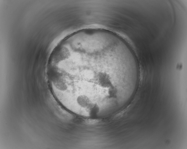 X0000112151278200909181414