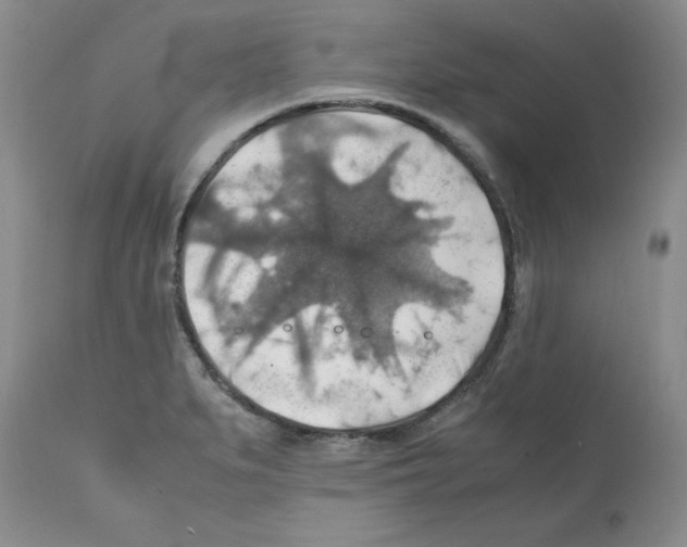 X0000112151279200909181414