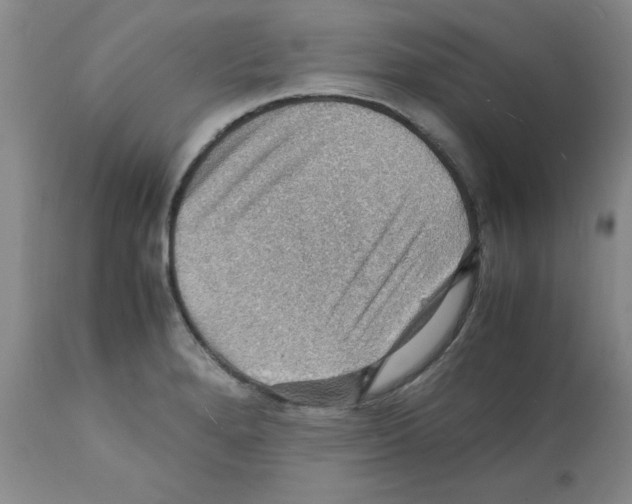 X0000112151280200909181414