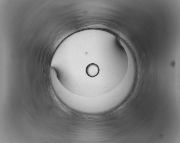 X0000112151281200909181414