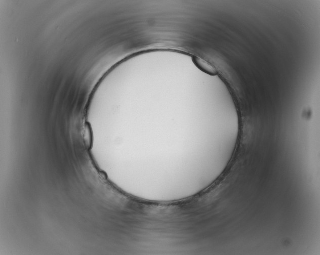 X0000112151284200909181414