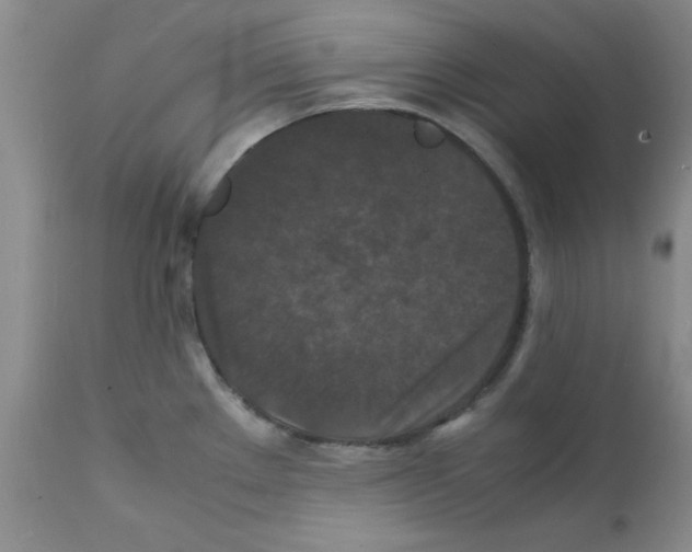 X0000112151289200909181414