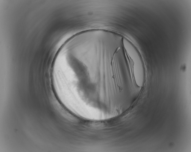 X0000112151291200909181414