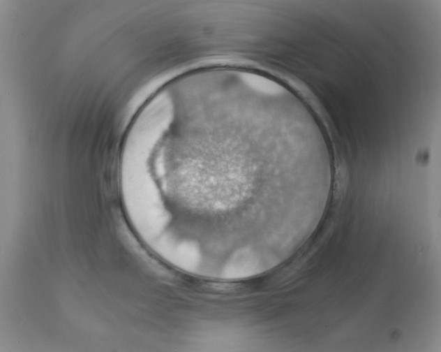 X0000112151295200909181413