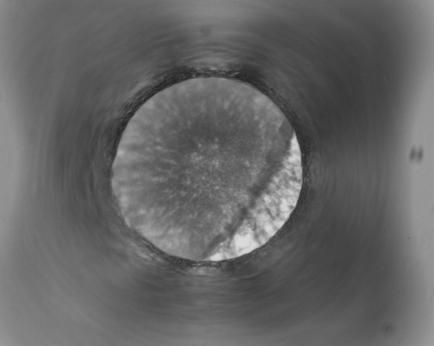 X0000112151297200909181413