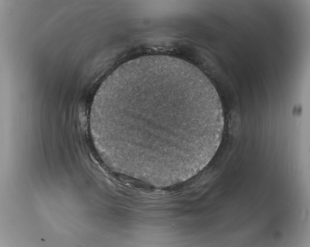 X0000112151298200909181413
