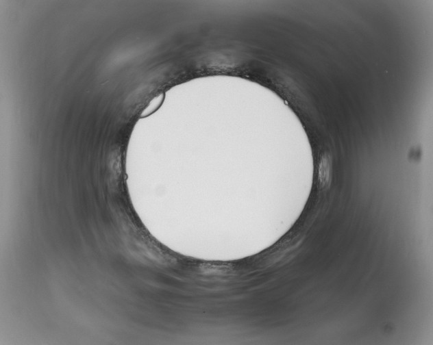 X0000112151299200909181413