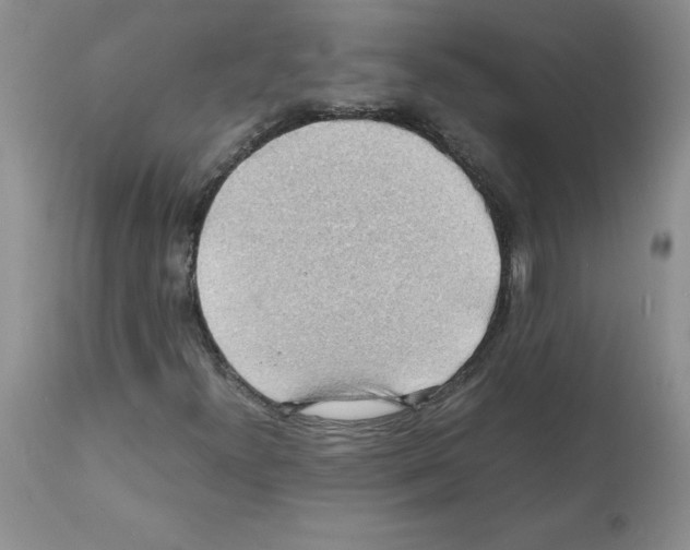X0000112151300200909181413