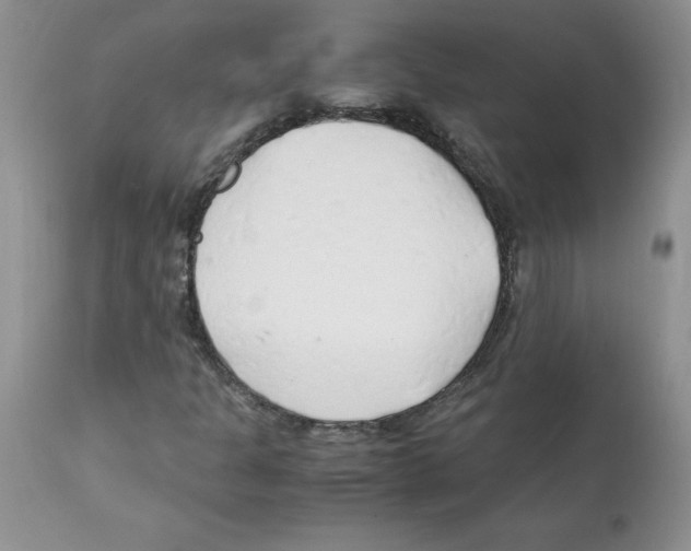 X0000112151301200909181413