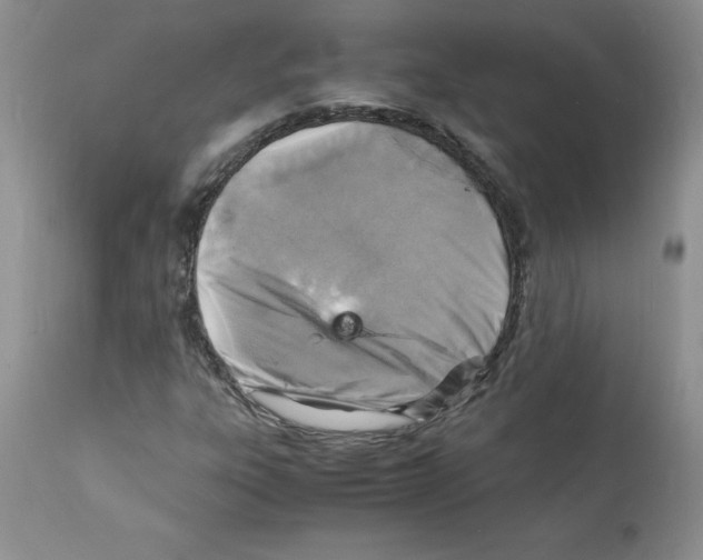 X0000112151303200909181413