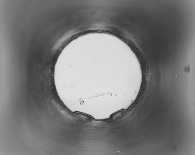 X0000112151304200909181413