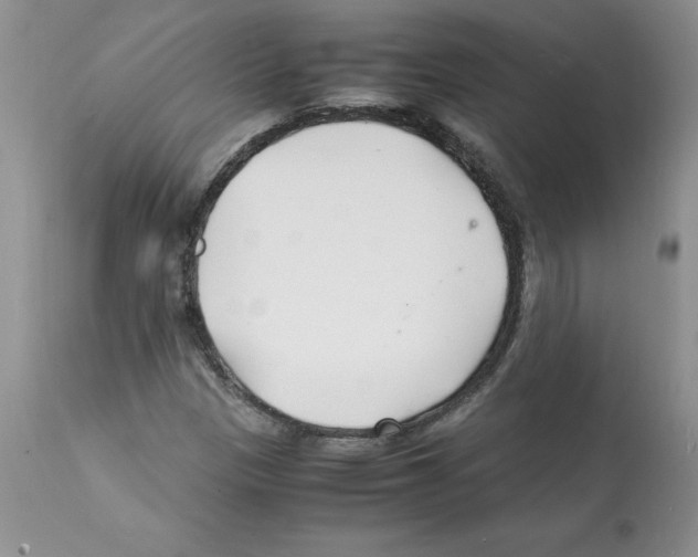 X0000112151305200909181413