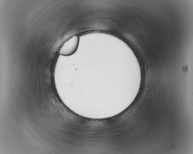 X0000112151307200909181413
