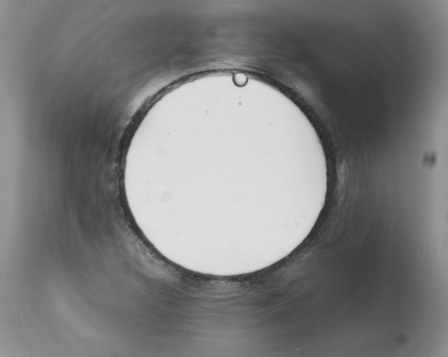 X0000112151308200909181413
