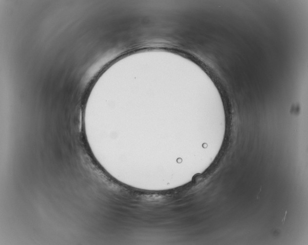 X0000112151317200909181413