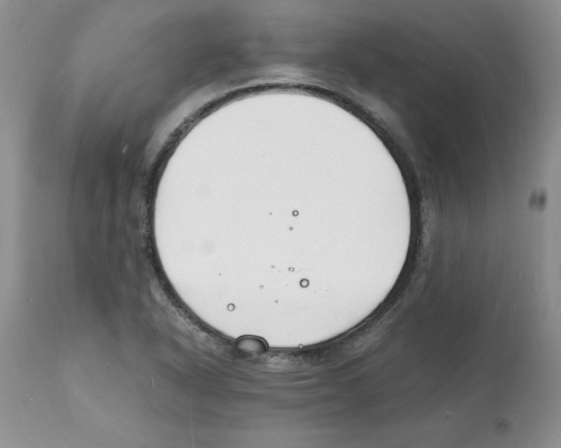 X0000112151318200909181413