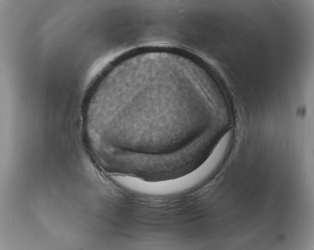 X0000112151319200909181413