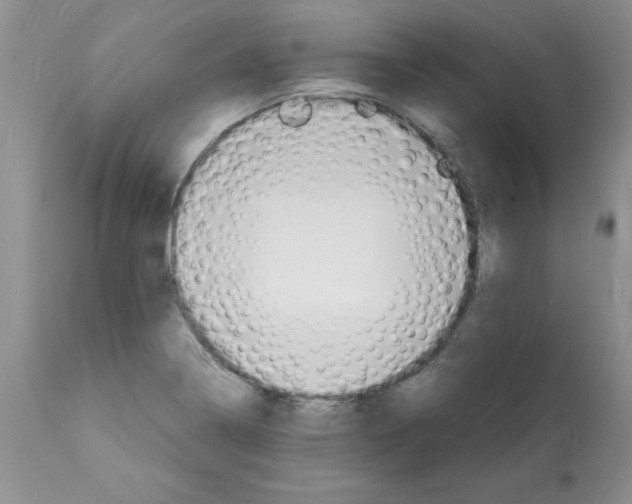 X0000112151322200909181413