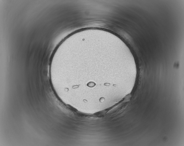 X0000112151324200909181413