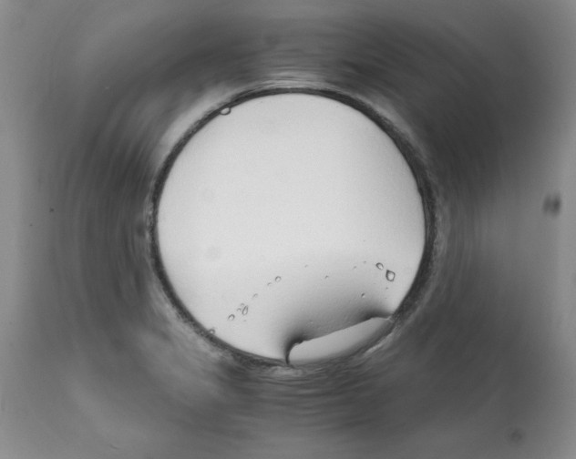 X0000112151325200909181413