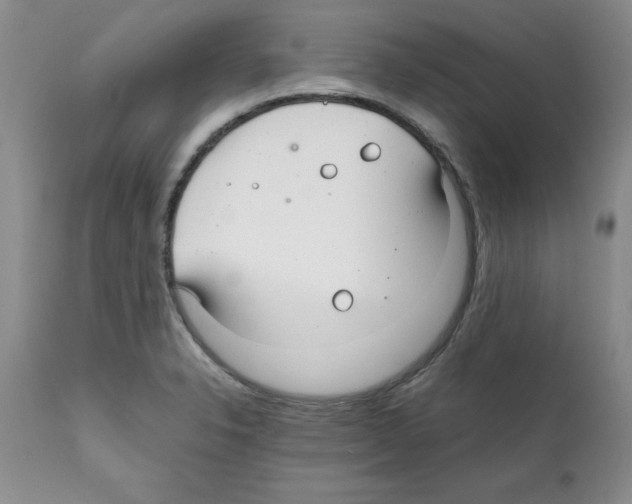 X0000112151326200909181413