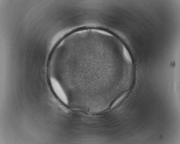 X0000112151327200909181413