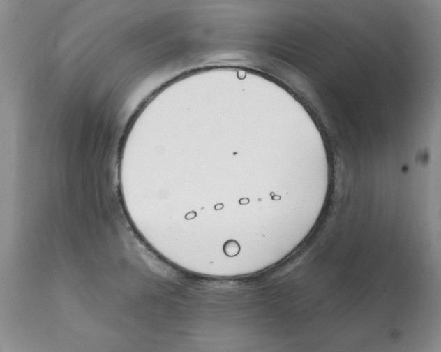 X0000112151328200909181413