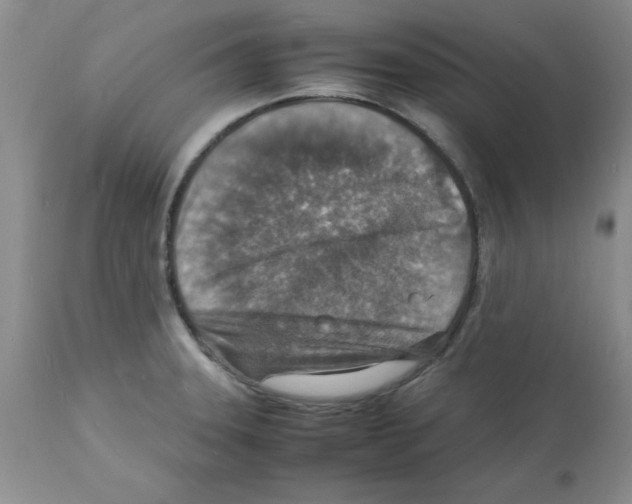 X0000112151331200909181413