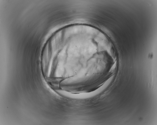 X0000112151334200909181413