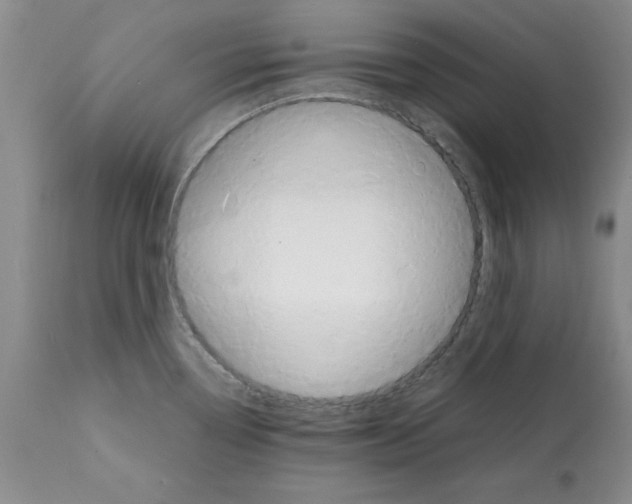 X0000112151338200909181413