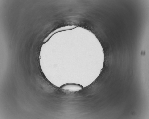 X0000112151345200909181413