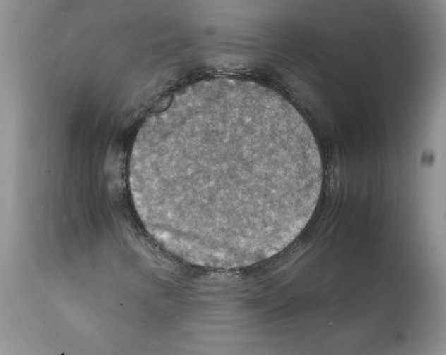X0000112151346200909181413