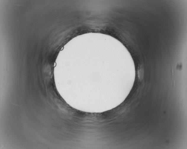 X0000112151347200909181413