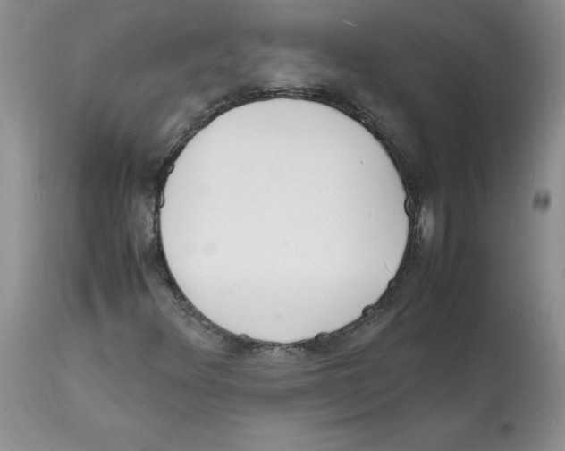 X0000112151348200909181413