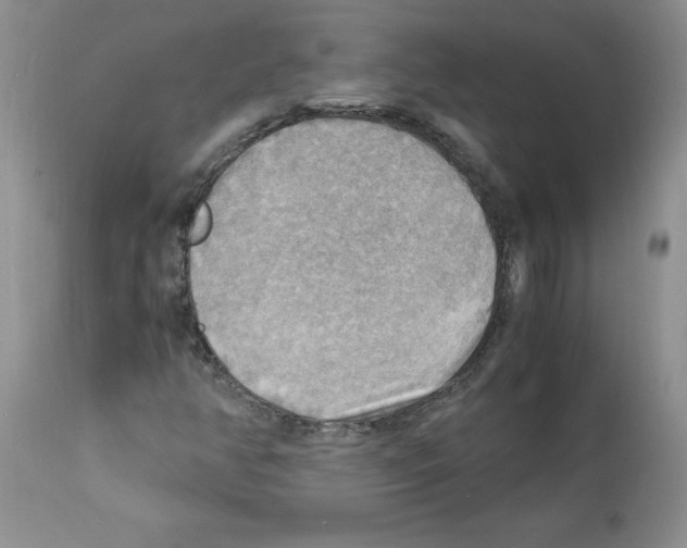 X0000112151350200909181413