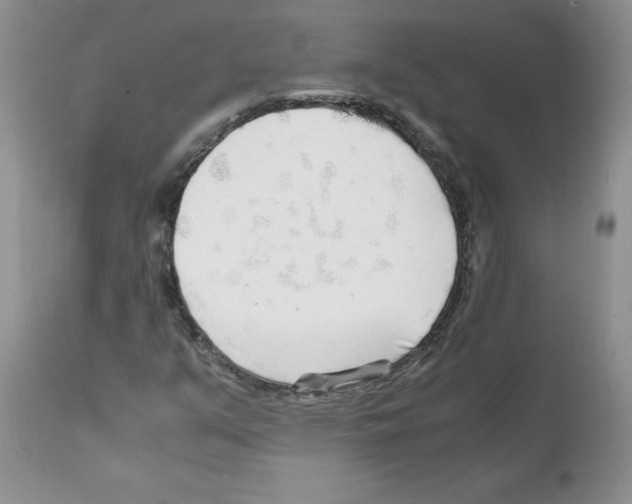 X0000112151351200909181413