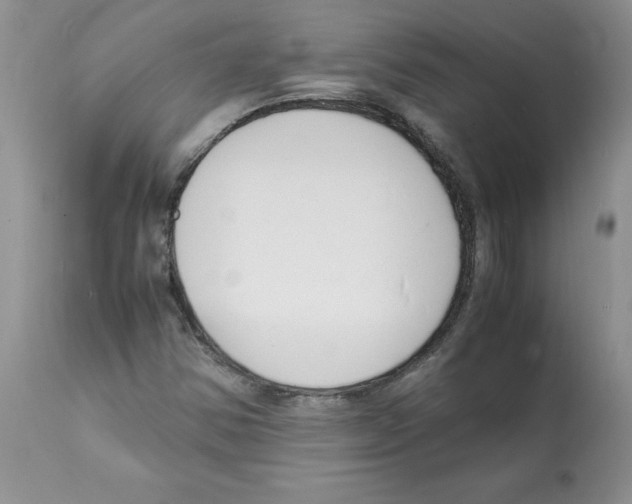 X0000112151354200909181412