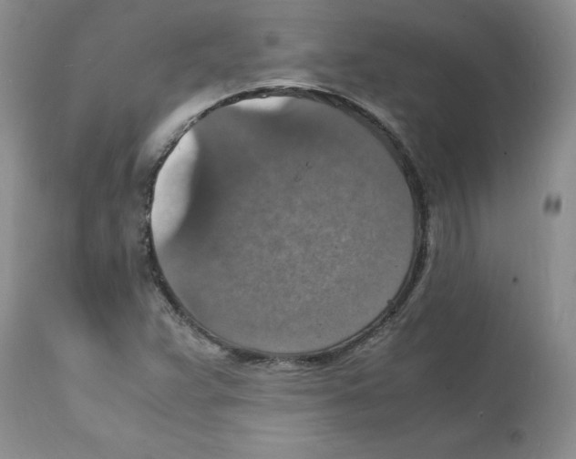 X0000112151359200909181412