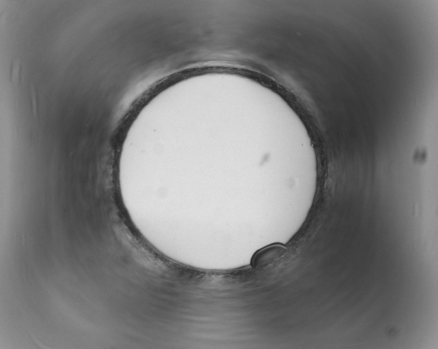 X0000112151360200909181412