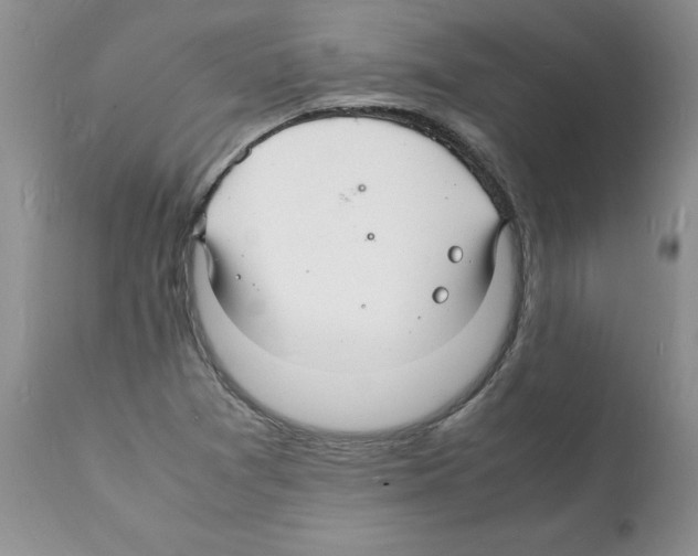 X0000112151361200909181412