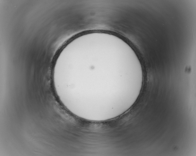 X0000112151364200909181412
