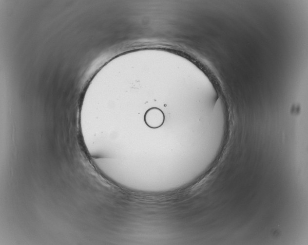 X0000112151365200909181412