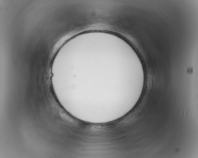 X0000112151366200909181412