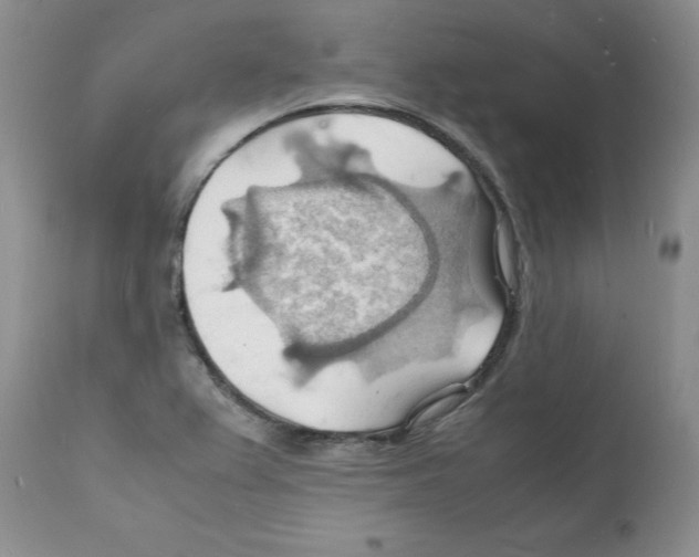 X0000112151367200909181412