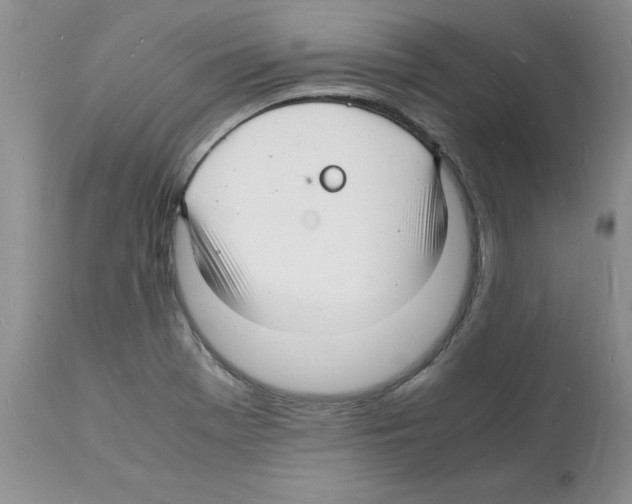X0000112151369200909181412