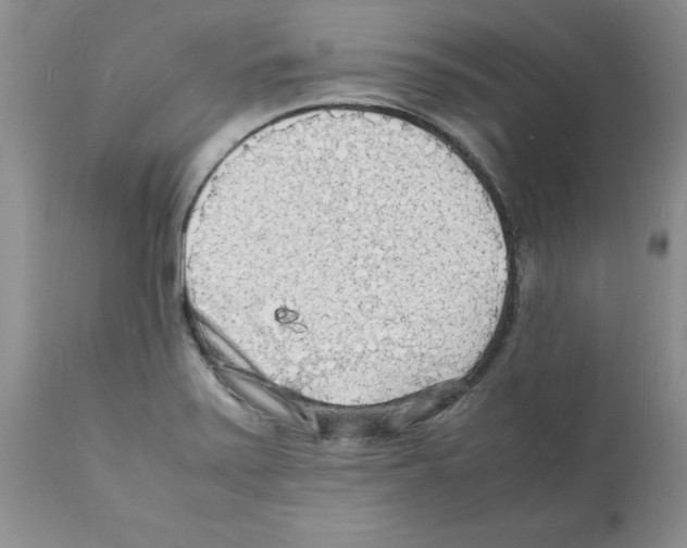 X0000112151371200909181412