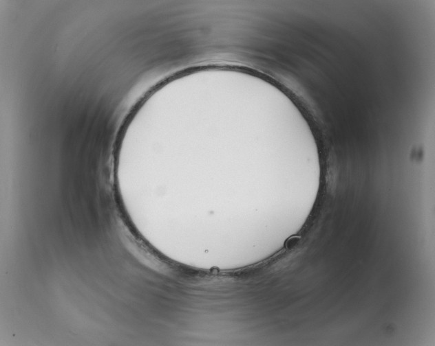 X0000112151372200909181412