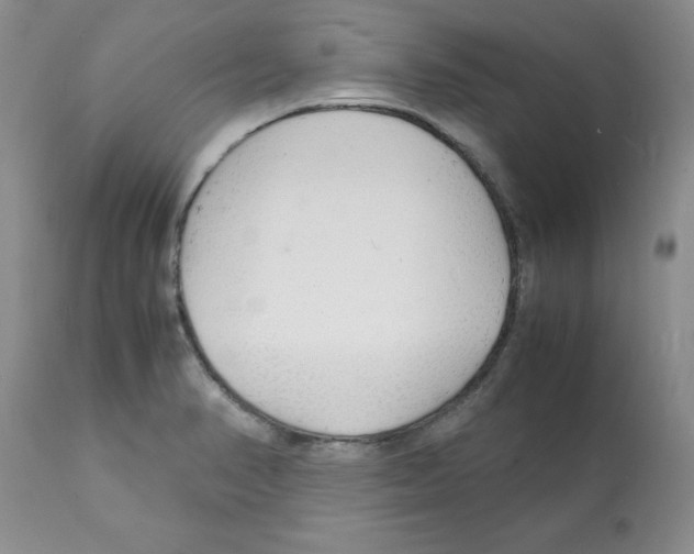 X0000112151374200909181412