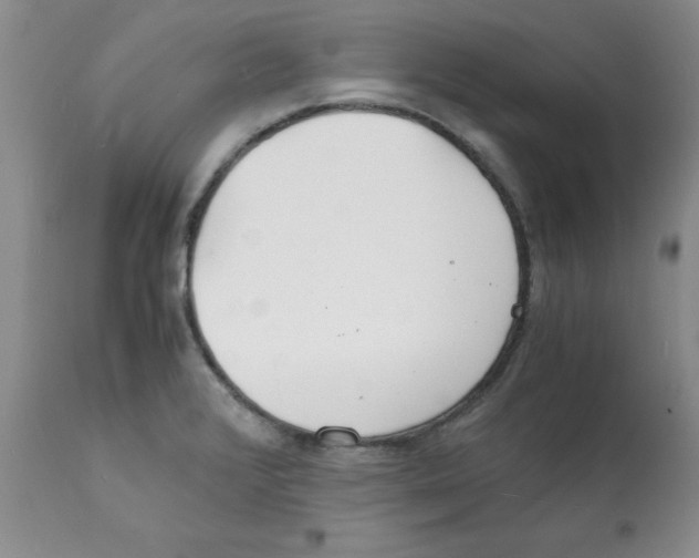 X0000112151376200909181412