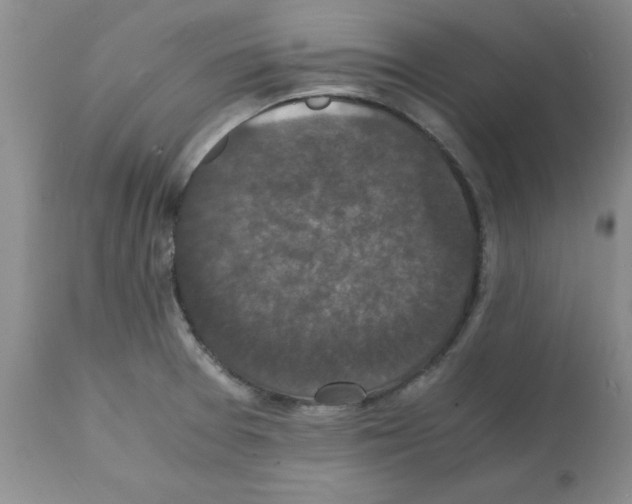 X0000112151377200909181412